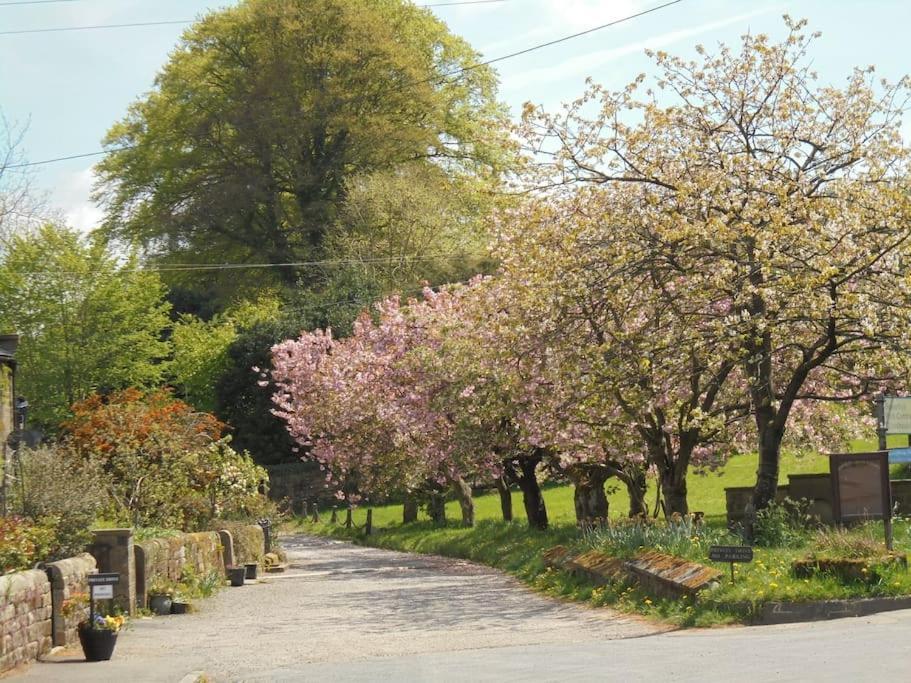 Rustic Cottage, Garden, Near Amenities, Wifi Pateley Bridge Extérieur photo
